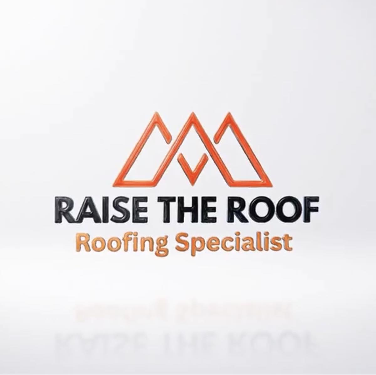 Raise the Roof logo